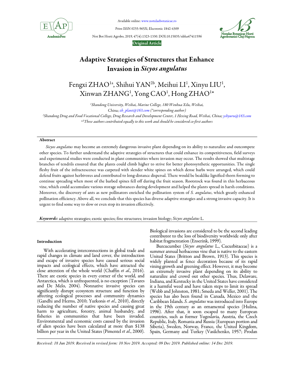 Adaptive Strategies of Structures That Enhance Invasion in Sicyos Angulatus