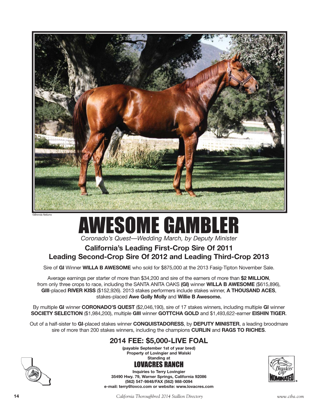AWESOME GAMBLER:Layout 1 12/2/13 1:28 PM Page 1