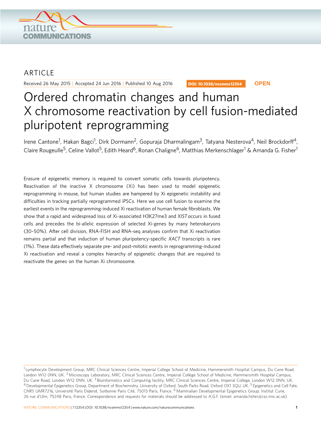 Ordered Chromatin Changes and Human X Chromosome Reactivation by Cell Fusion-Mediated Pluripotent Reprogramming