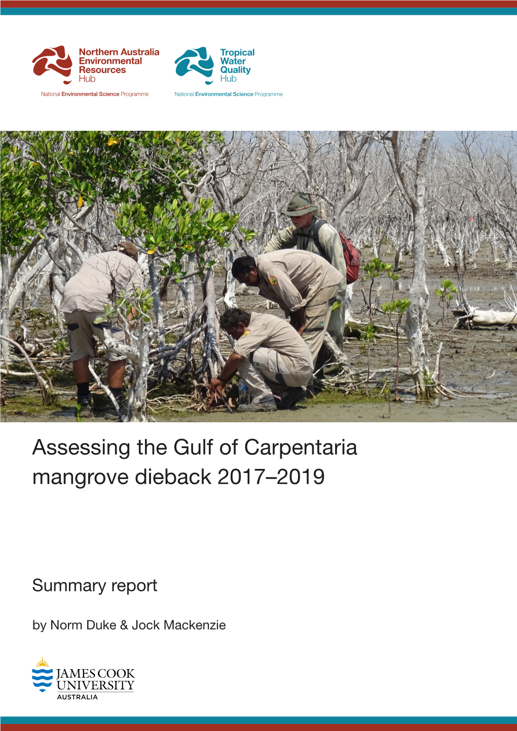 Assessing the Gulf of Carpentaria Mangrove Dieback 2017-2019