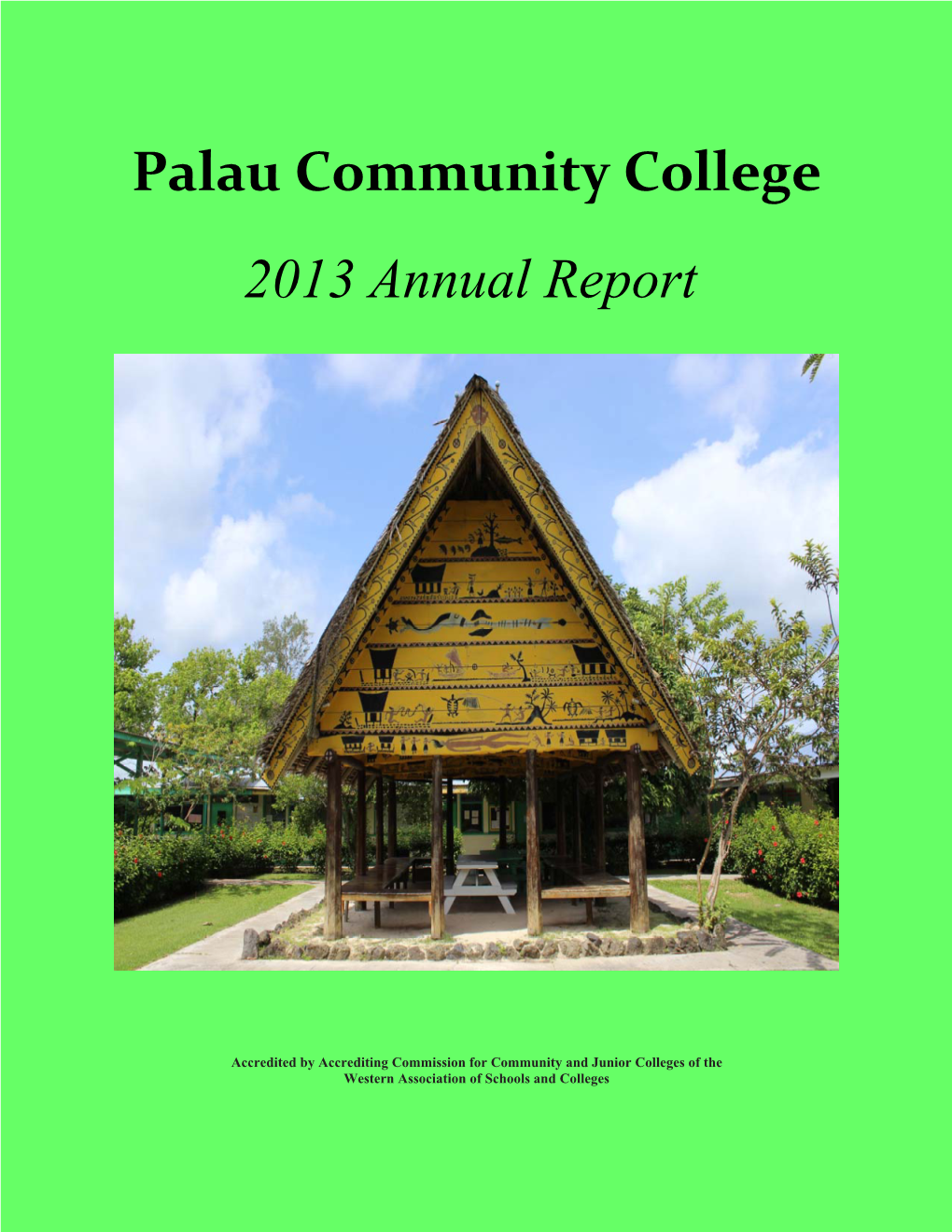 2013 Annual Report