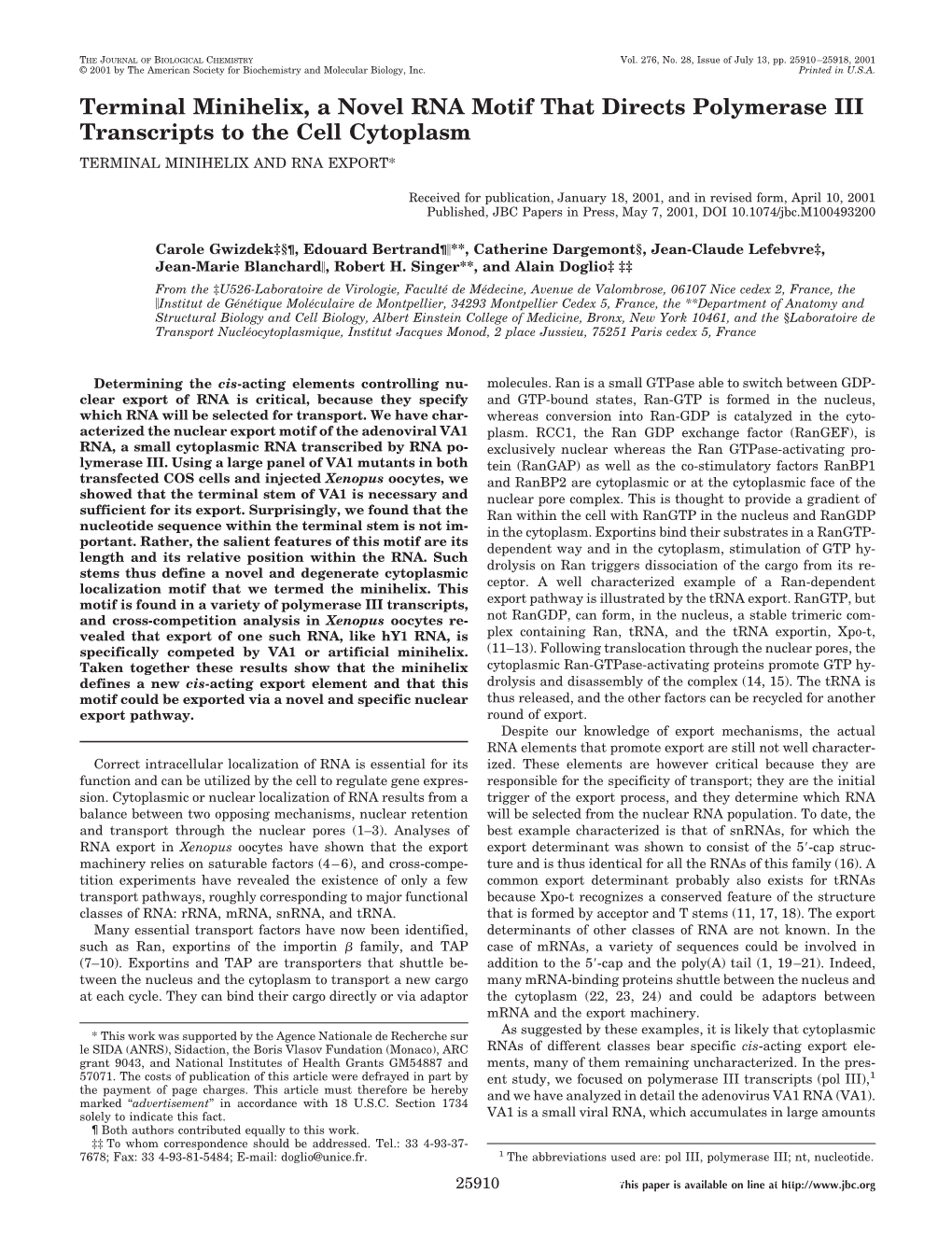 Terminal Minihelix, a Novel RNA Motif That Directs Polymerase III Transcripts to the Cell Cytoplasm TERMINAL MINIHELIX and RNA EXPORT*