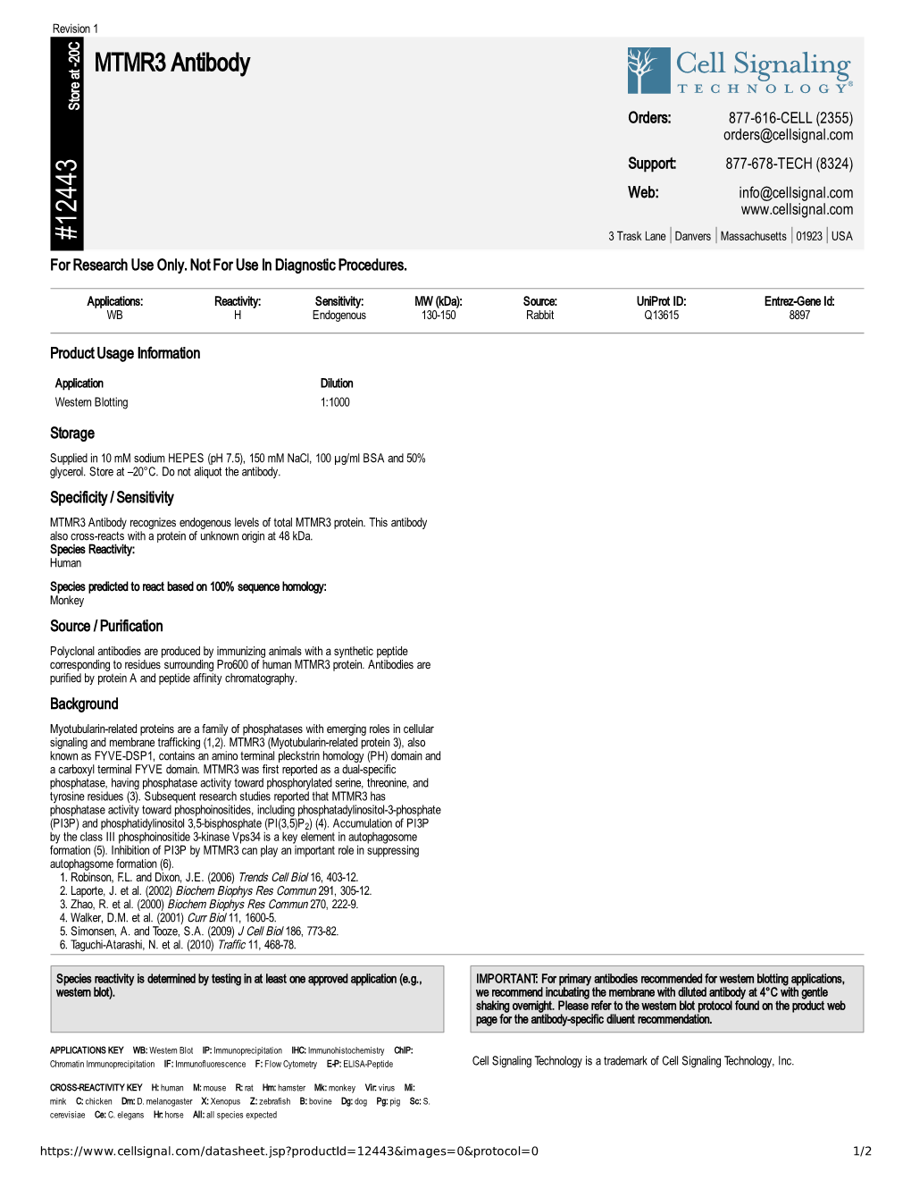 12443 MTMR3 Antibody