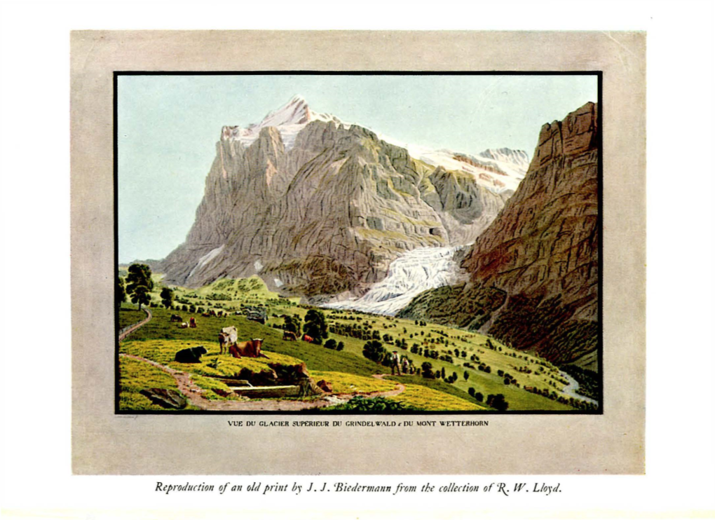 The Scheidegg Wetterhorn by the N.W. Face