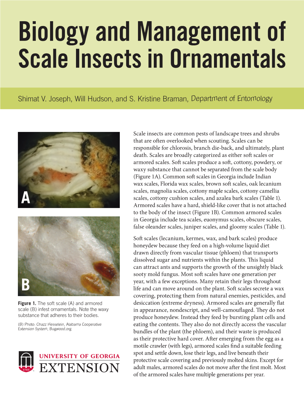 Biology and Management of Scale Insects in Ornamentals