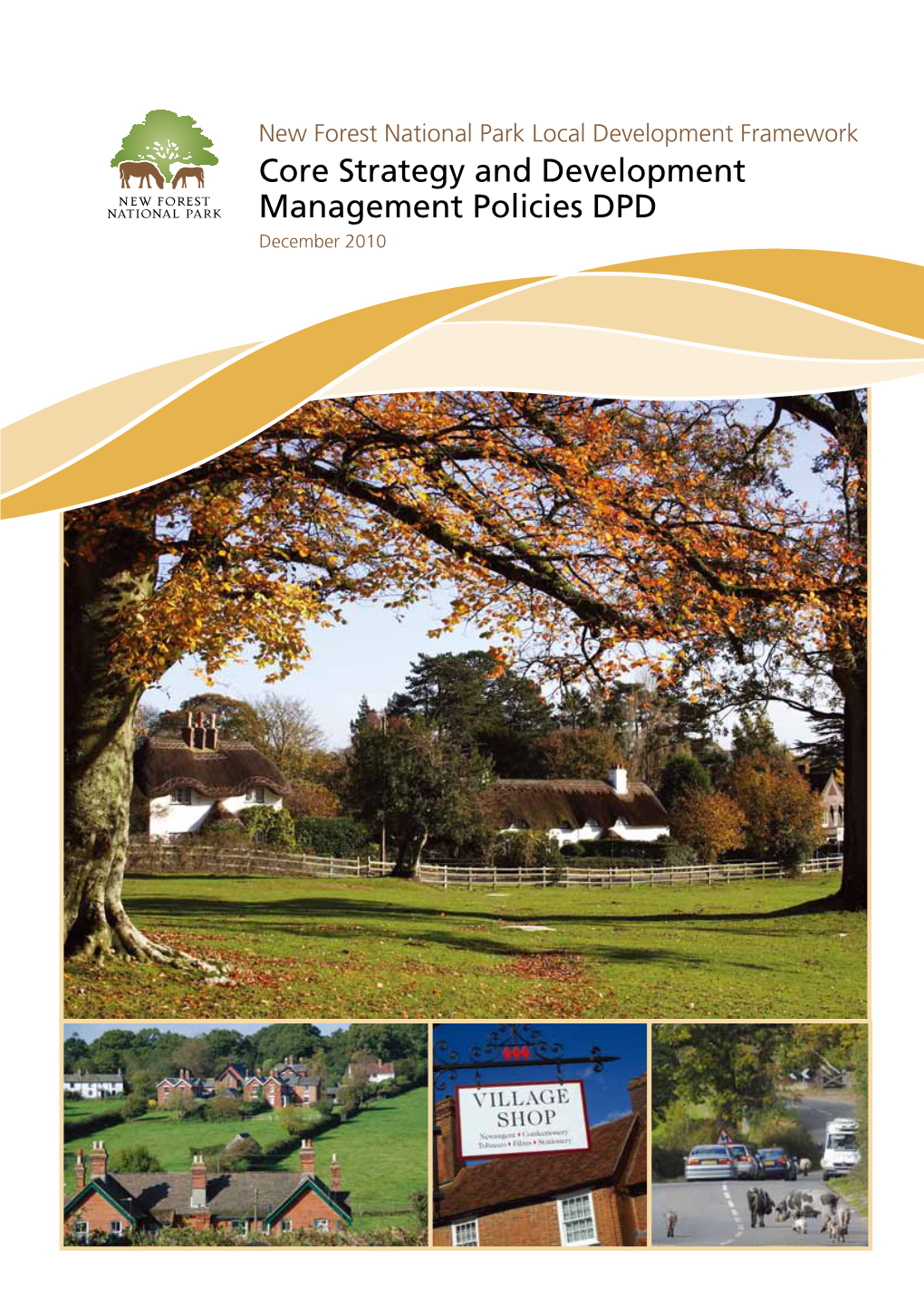 Core Strategy and Development Management Policies DPD December 2010 1 Introduction