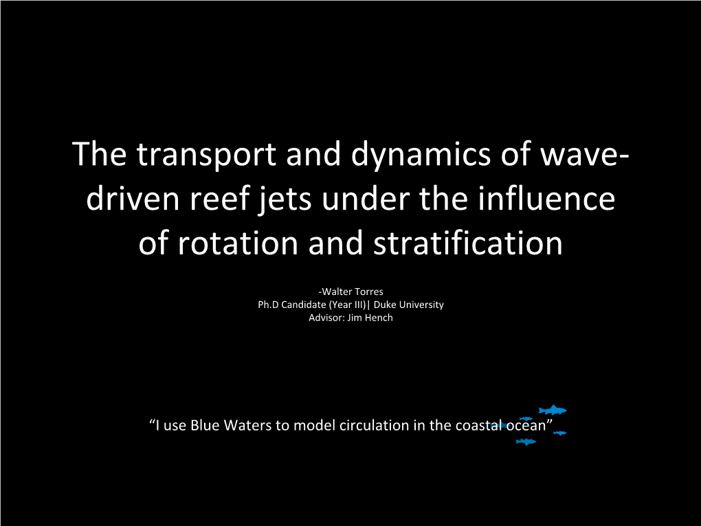Walter Torres: the Transport and Dynamics of Wave-Driven Reef Jets