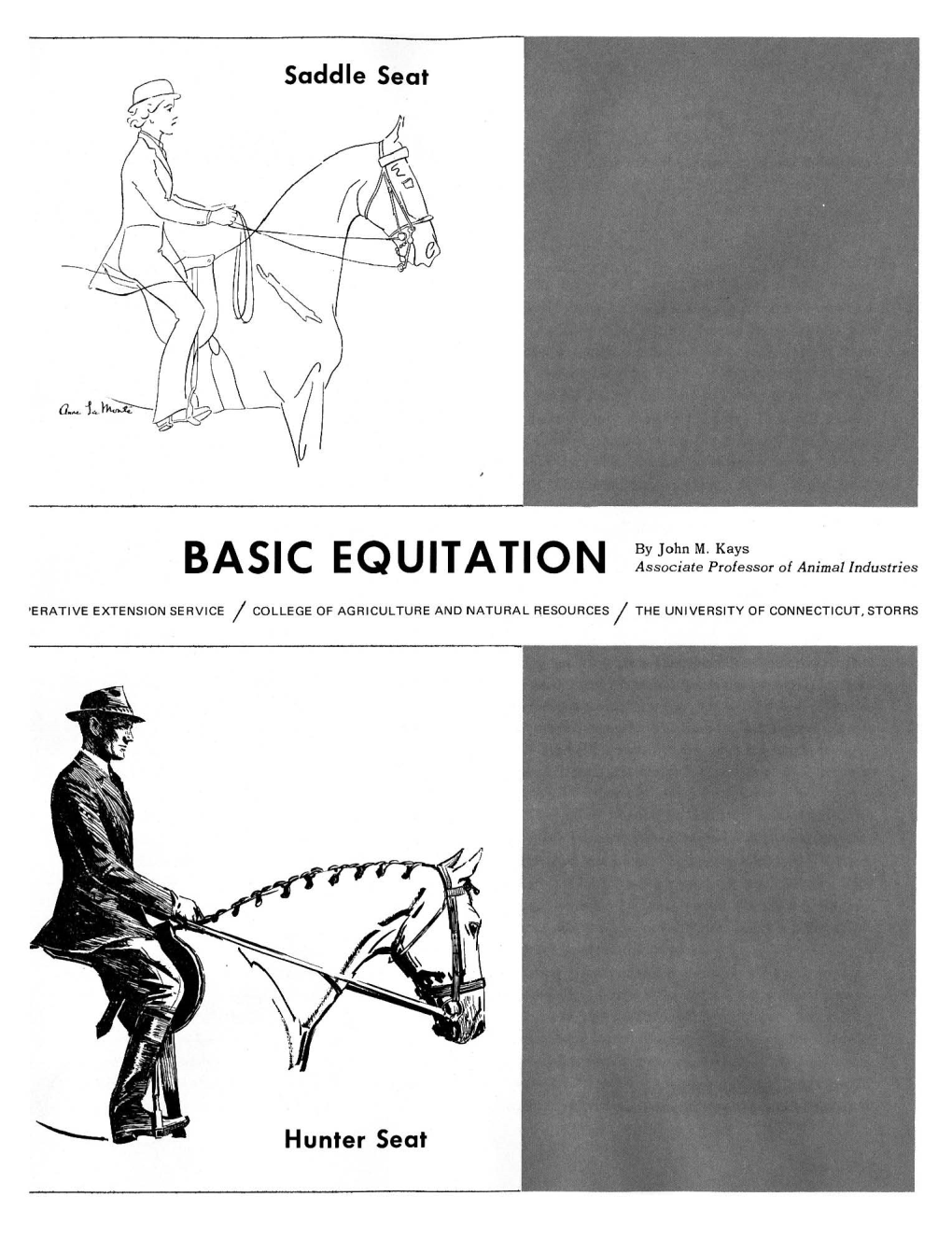 BASIC EQUITATION Associate Professor of Animal Industries