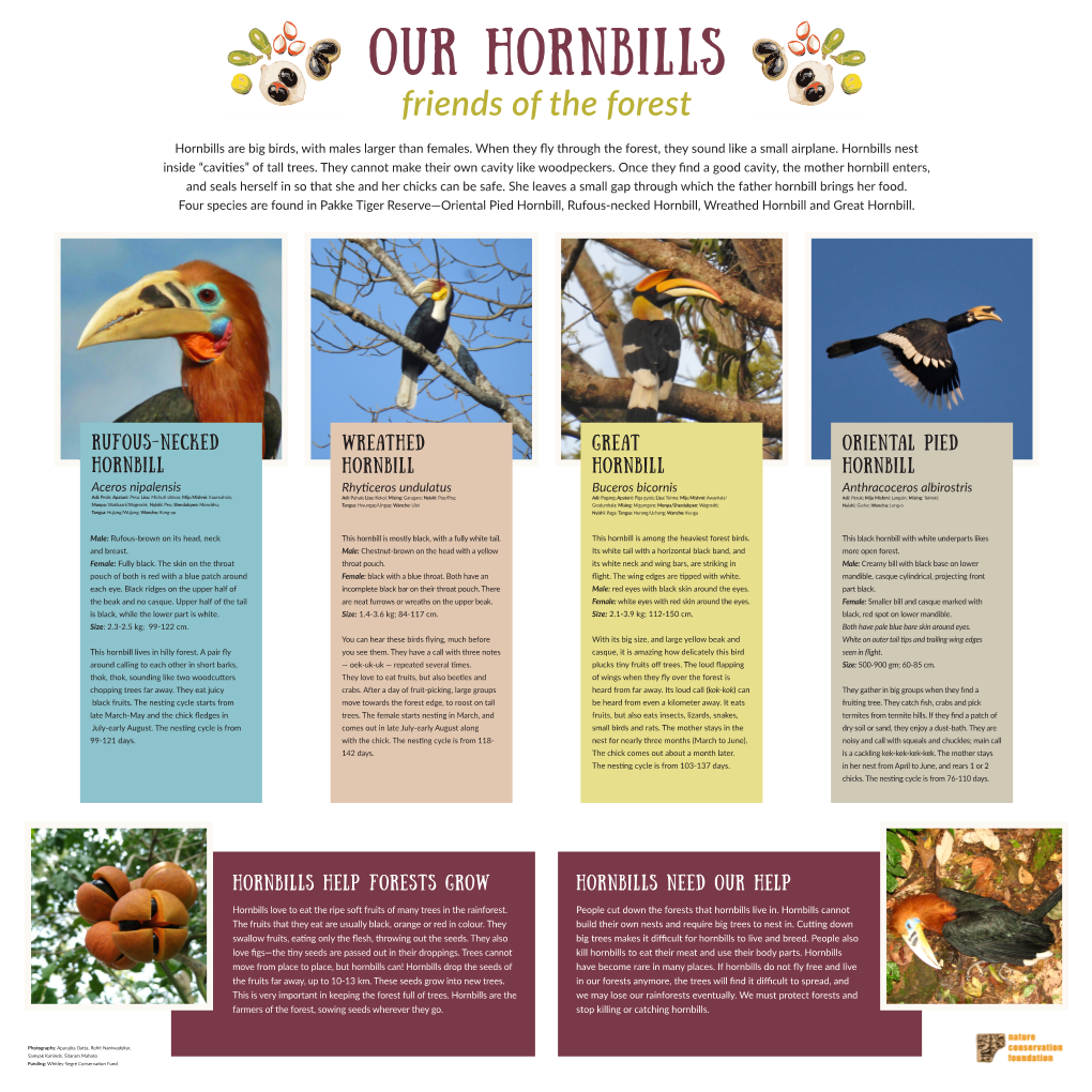 OUR HORNBILLS Friends of the Forest