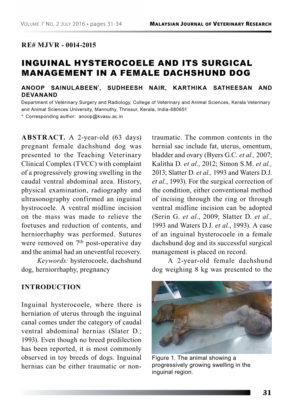Inguinal Hysterocoele and Its Surgical Management in a Female Dachshund Dog