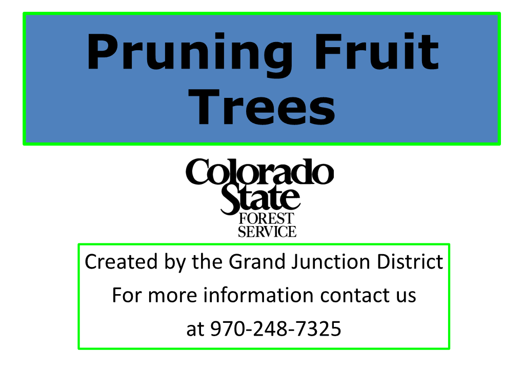 Pruning Fruit Trees