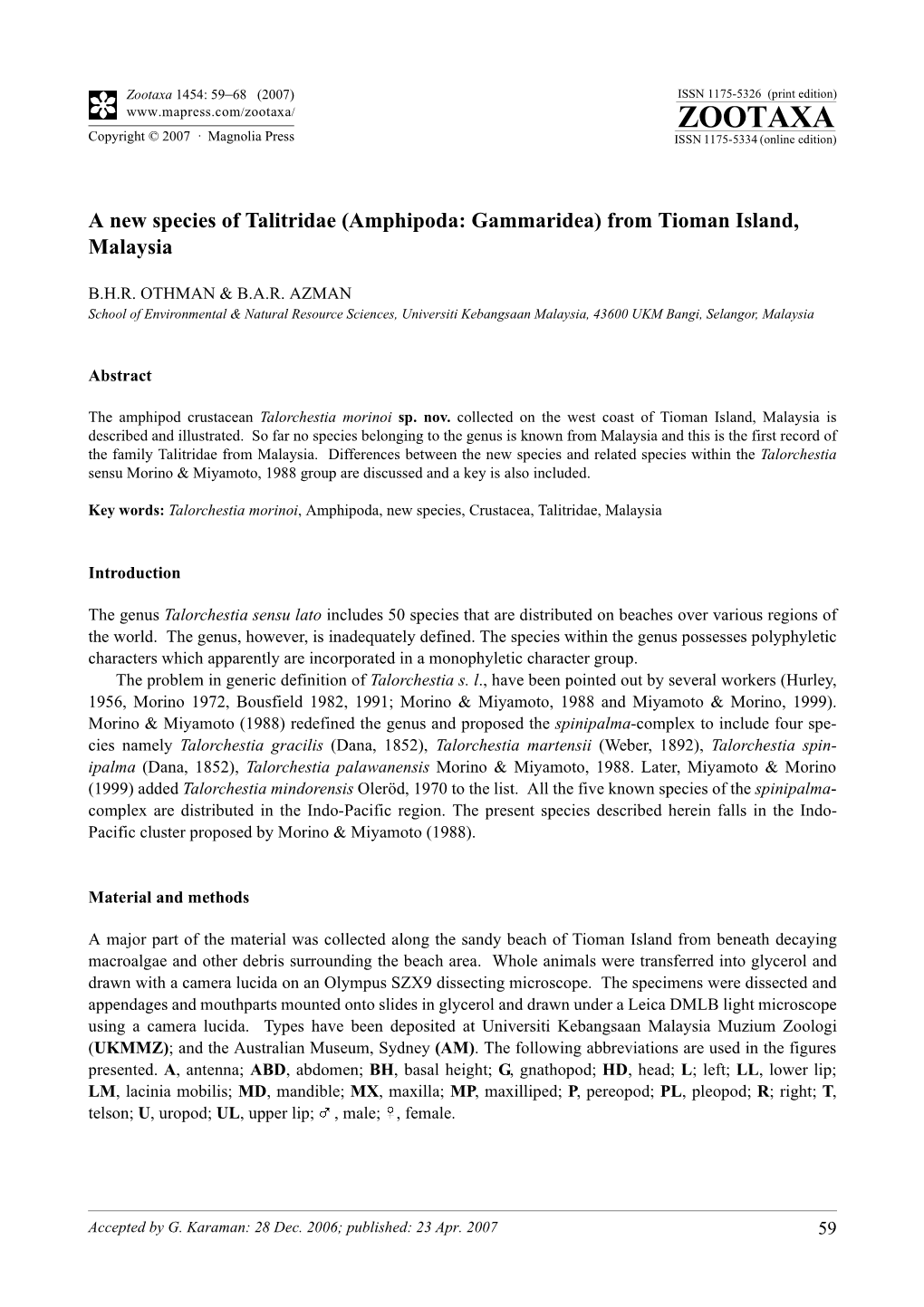 Zootaxa,A New Species of Talitridae (Amphipoda