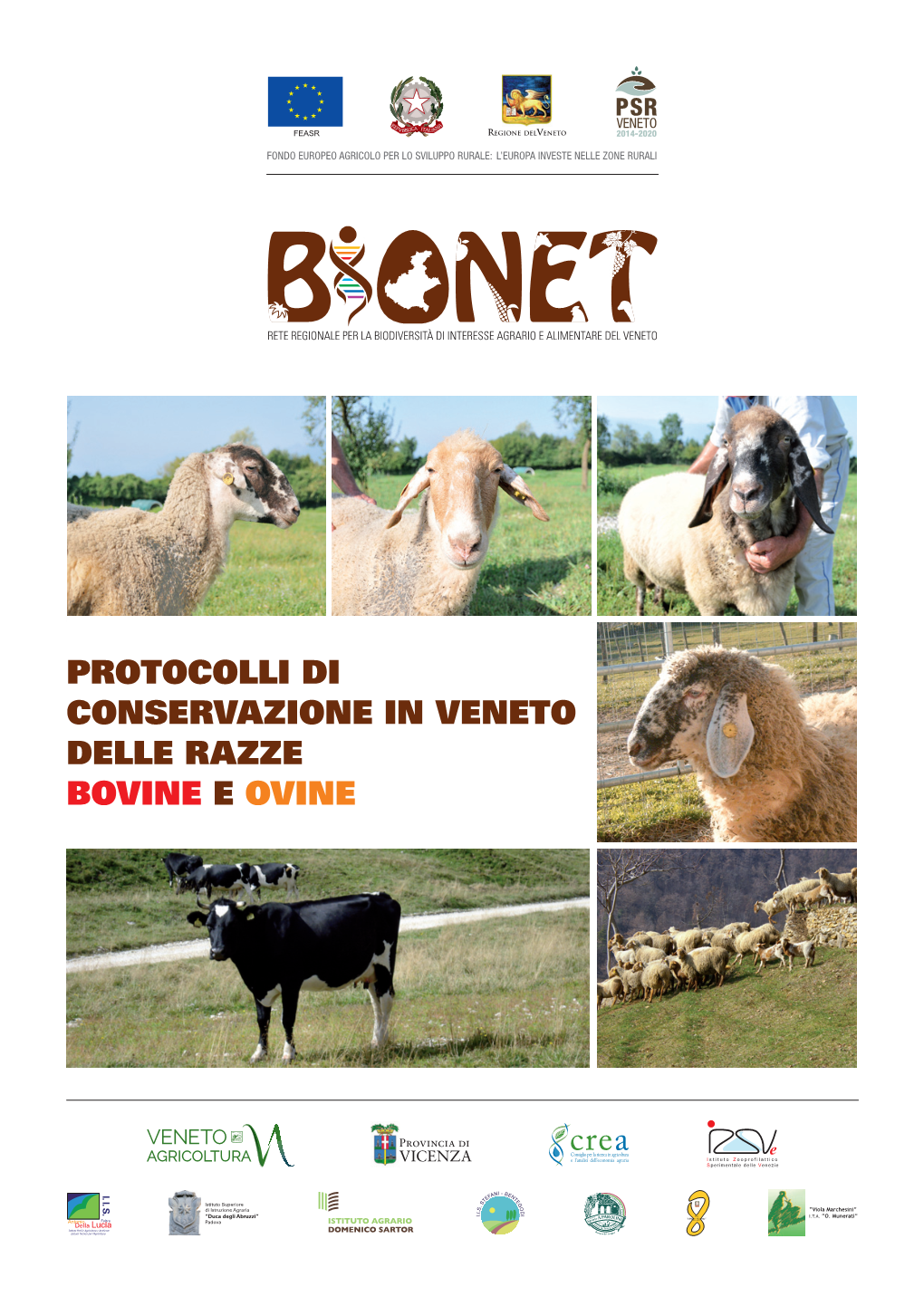 Protocolli Di Conservazione in Veneto Delle Razze Bovine E Ovine