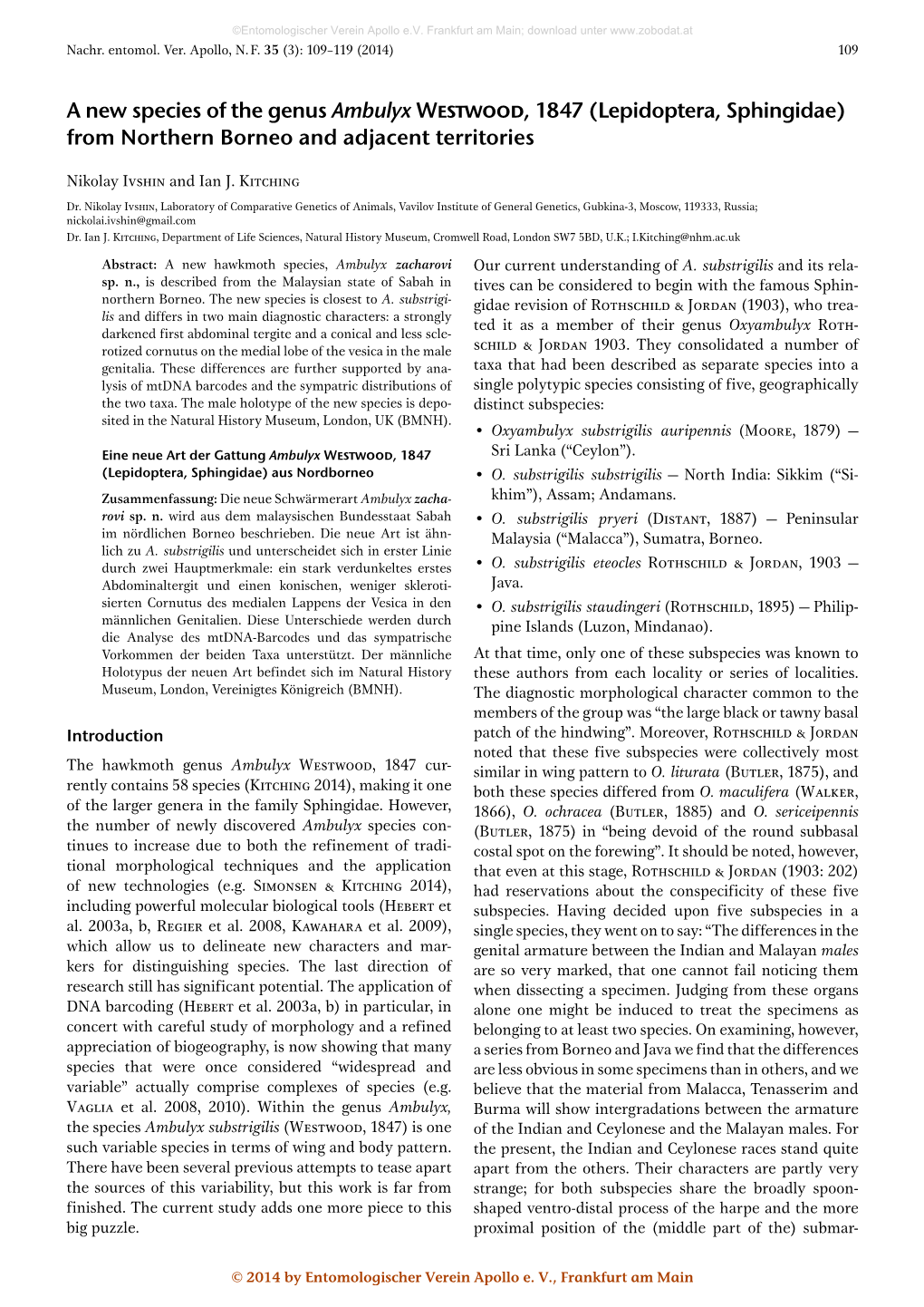 A New Species of the Genus Ambulyx Westwood, 1847 (Lepidoptera, Sphingidae) from Northern Borneo and Adjacent Territories