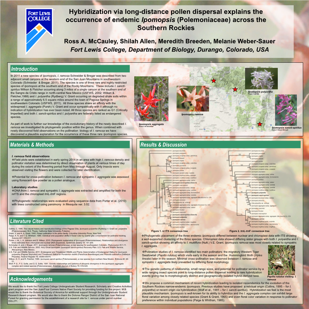 Ipomopsis Sancti-Spiritus Newly Discovered Field Observations on the Pollination Biology of I