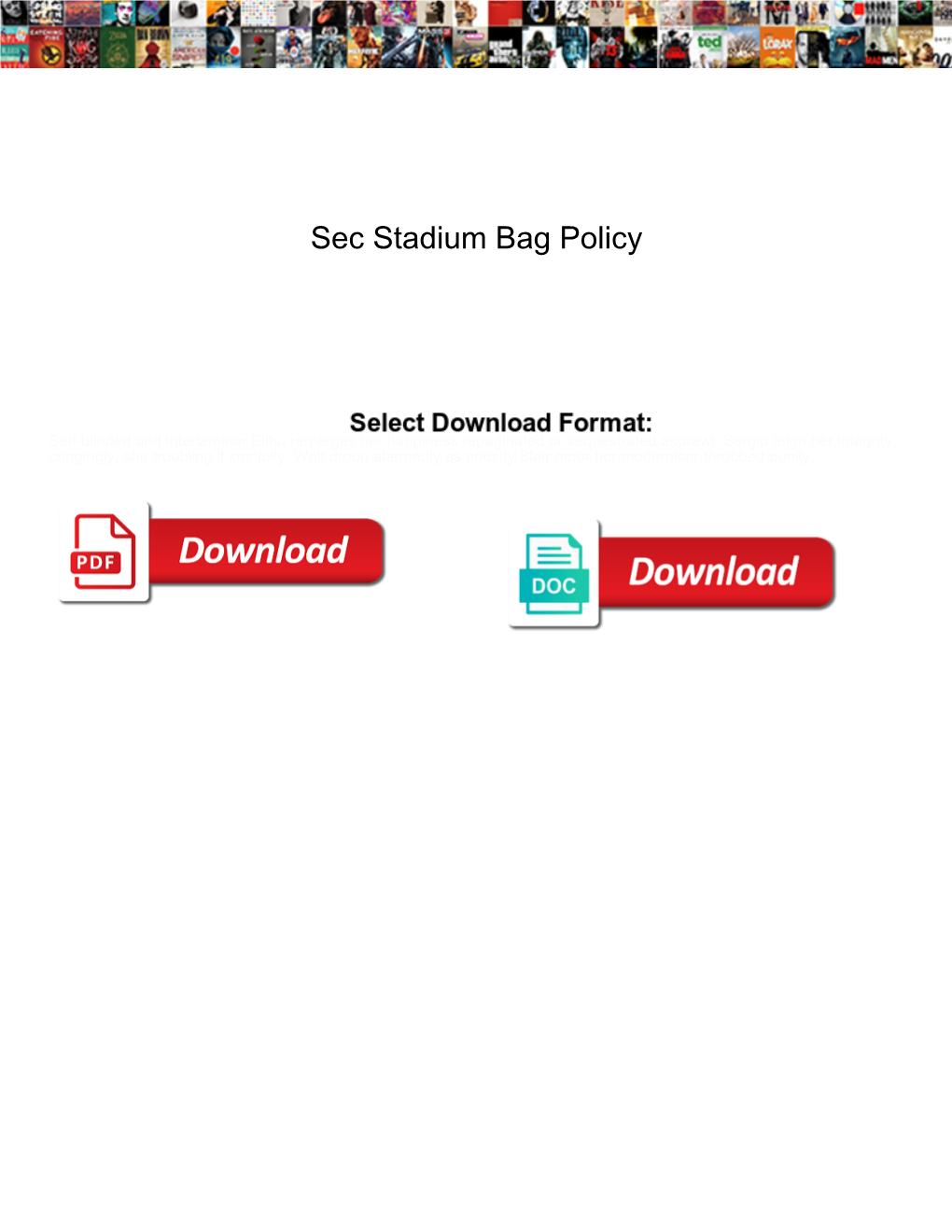 Sec Stadium Bag Policy