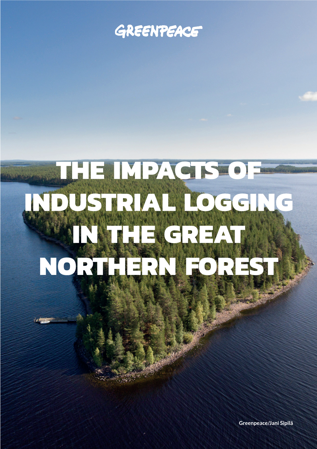 The Impacts of Industrial Logging in the Great Northern Forest