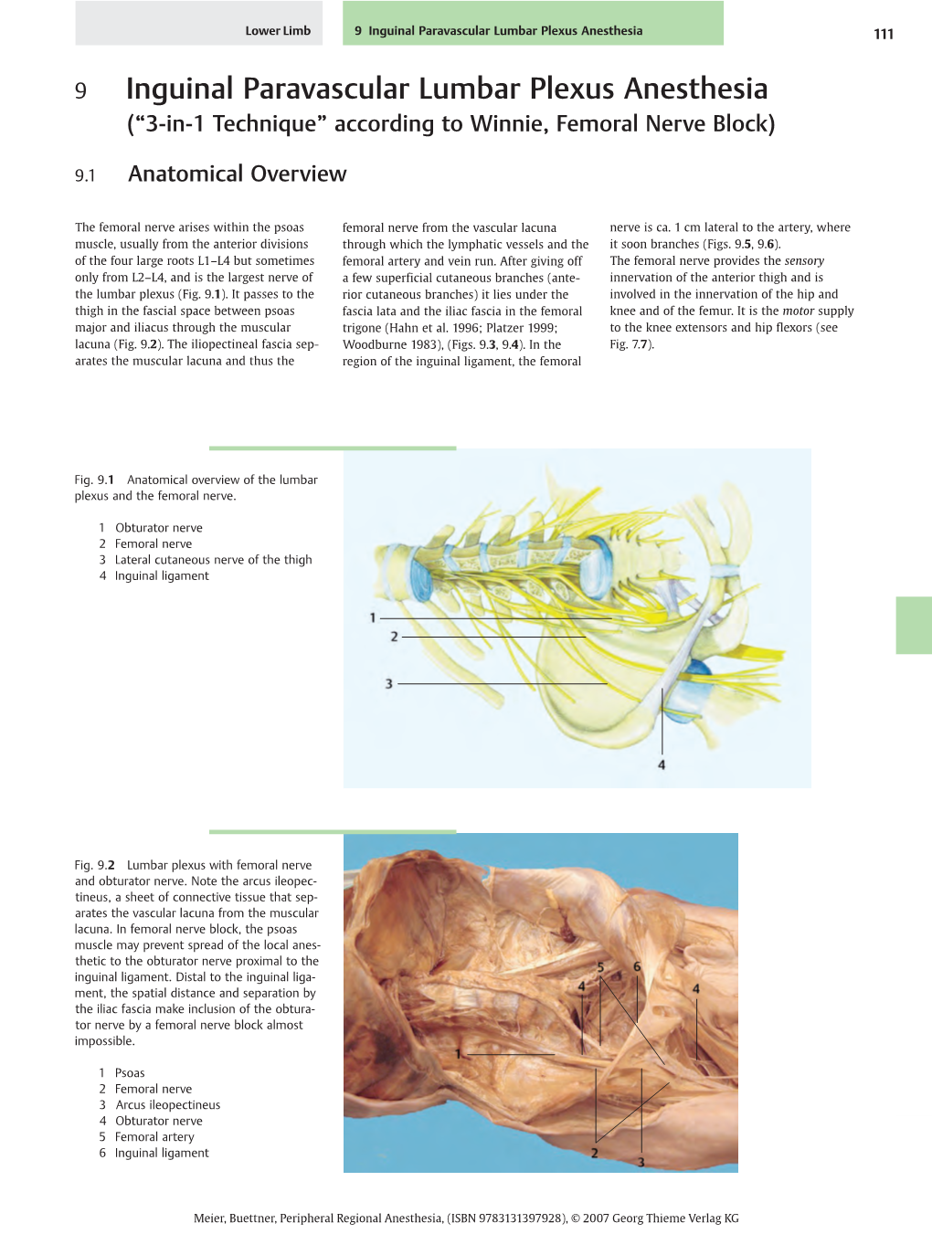 Meier, Buettner, Peripheral Regional Anesthesia, (ISBN 9783131397928), © 2007 Georg Thieme Verlag KG 112 9 Inguinal Paravascular Lumbar Plexus Anesthesia Lower Limb