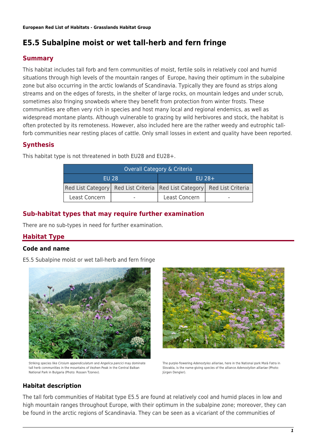 E5.5 Subalpine Moist Or Wet Tall-Herb and Fern Fringe