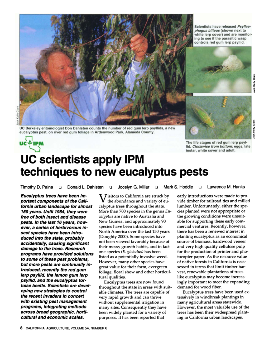 UC Scientists Apply IPM Techniques to New Eucalyptus Pests