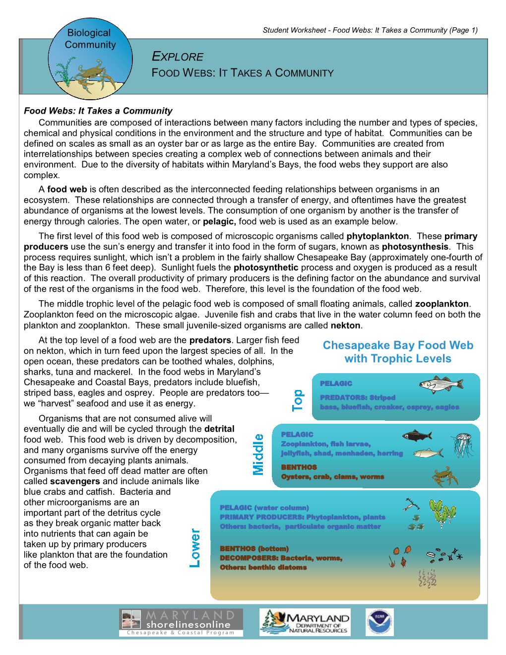 Chesapeake Bay Organisms Food Web Research.Pdf