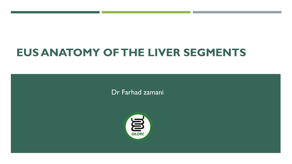 Eus Anatomy of the Liver Segments