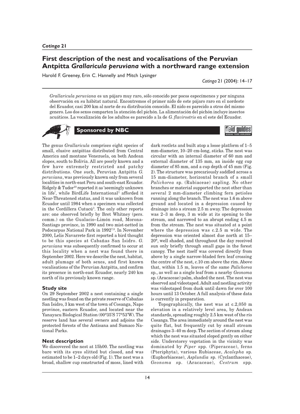 First Description of the Nest and Vocalisations of the Peruvian Antpitta Grallaricula Peruviana with a Northward Range Extension Harold F