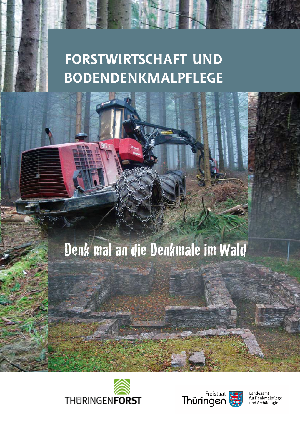 Forstwirtschaft Und Bodendenkmalpflege