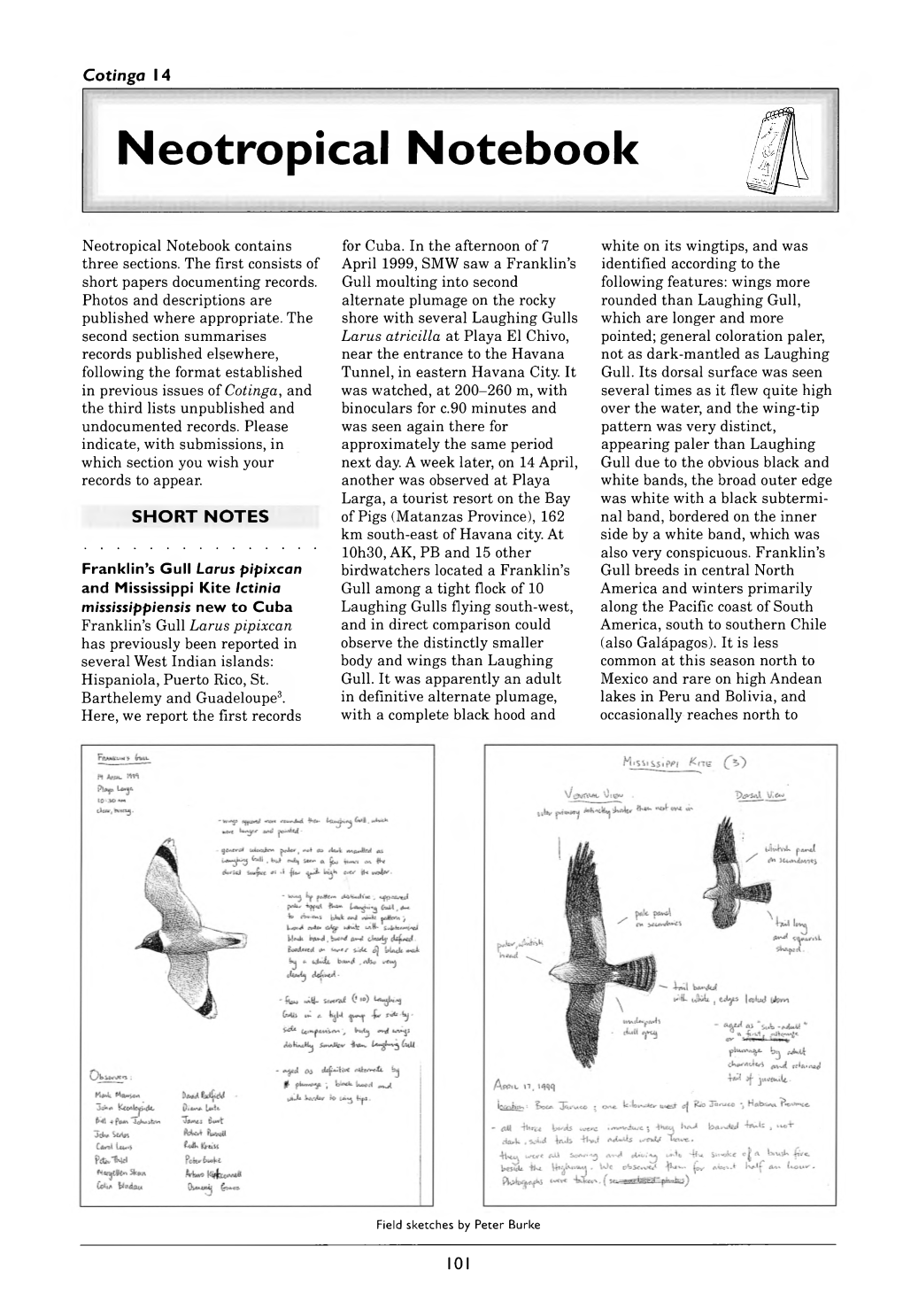 Cotinga-14-2000-101