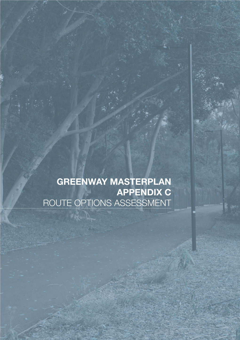 Greenway Masterplan Appendix C Route Options Assessment