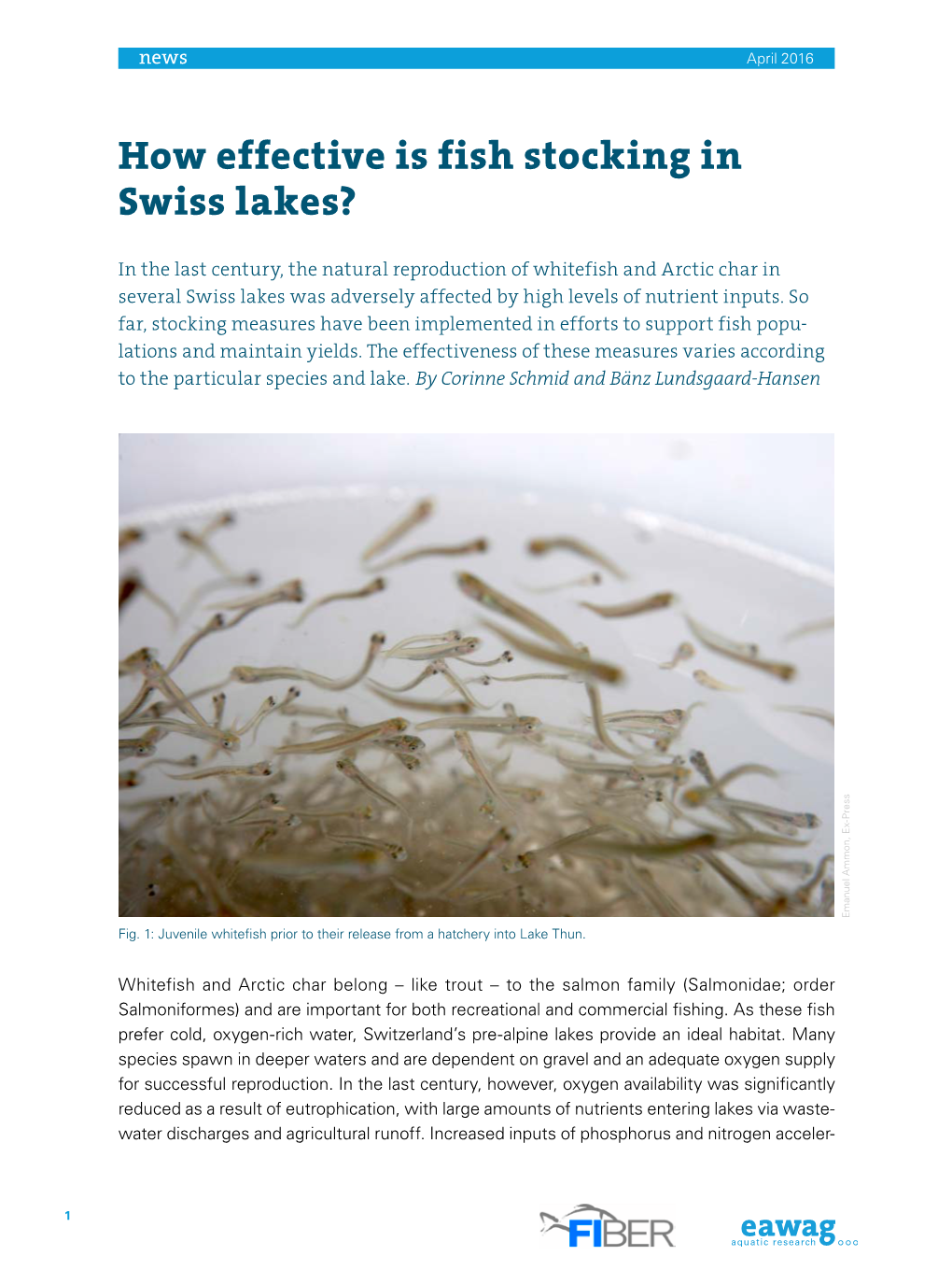 How Effective Is Fish Stocking in Swiss Lakes?