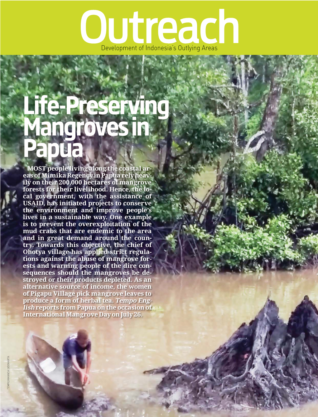 Life-Preserving Mangroves in Papua