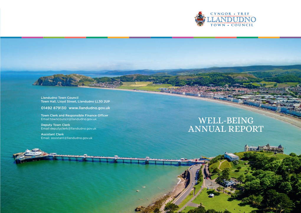 Wellbeing Annual Report 2019/20