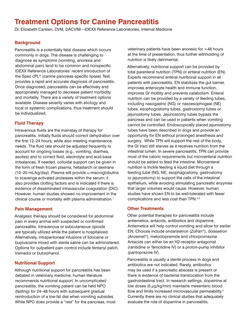 Treatment Options for Canine Pancreatitis Dr