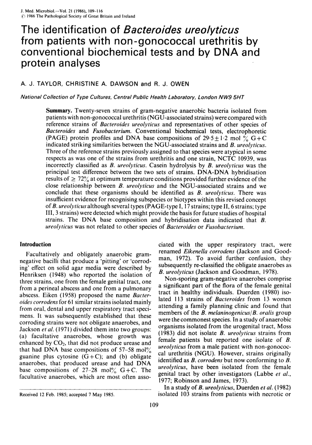 The Identification of Bacteroides Ureolyticus from Patients with Non-Gonococcal Urethritis by Conventional Biochemical Tests and by DNA and Protein Analyses