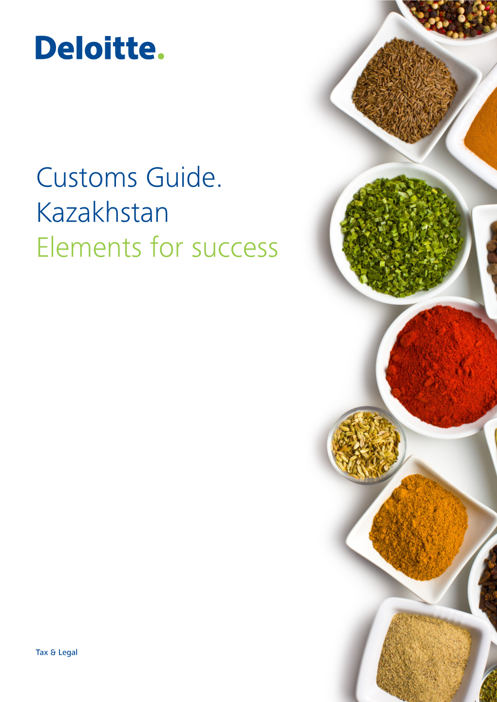 Customs Guide. Kazakhstan Elements for Success