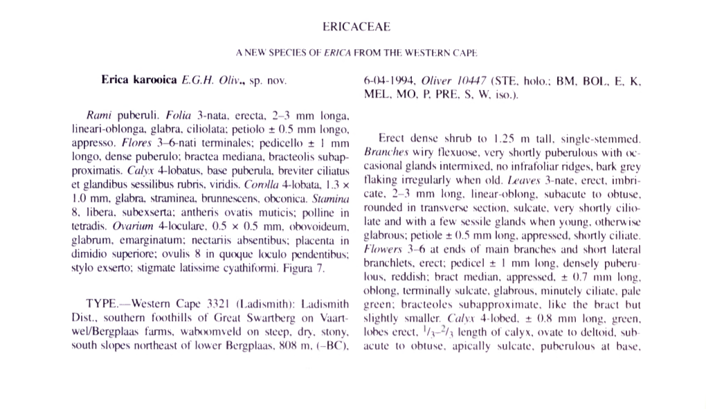 ERICACEAE Erica Karooica E.G. FI. Oliv., Sp. Nov. Rami Puberuli. Folia 3