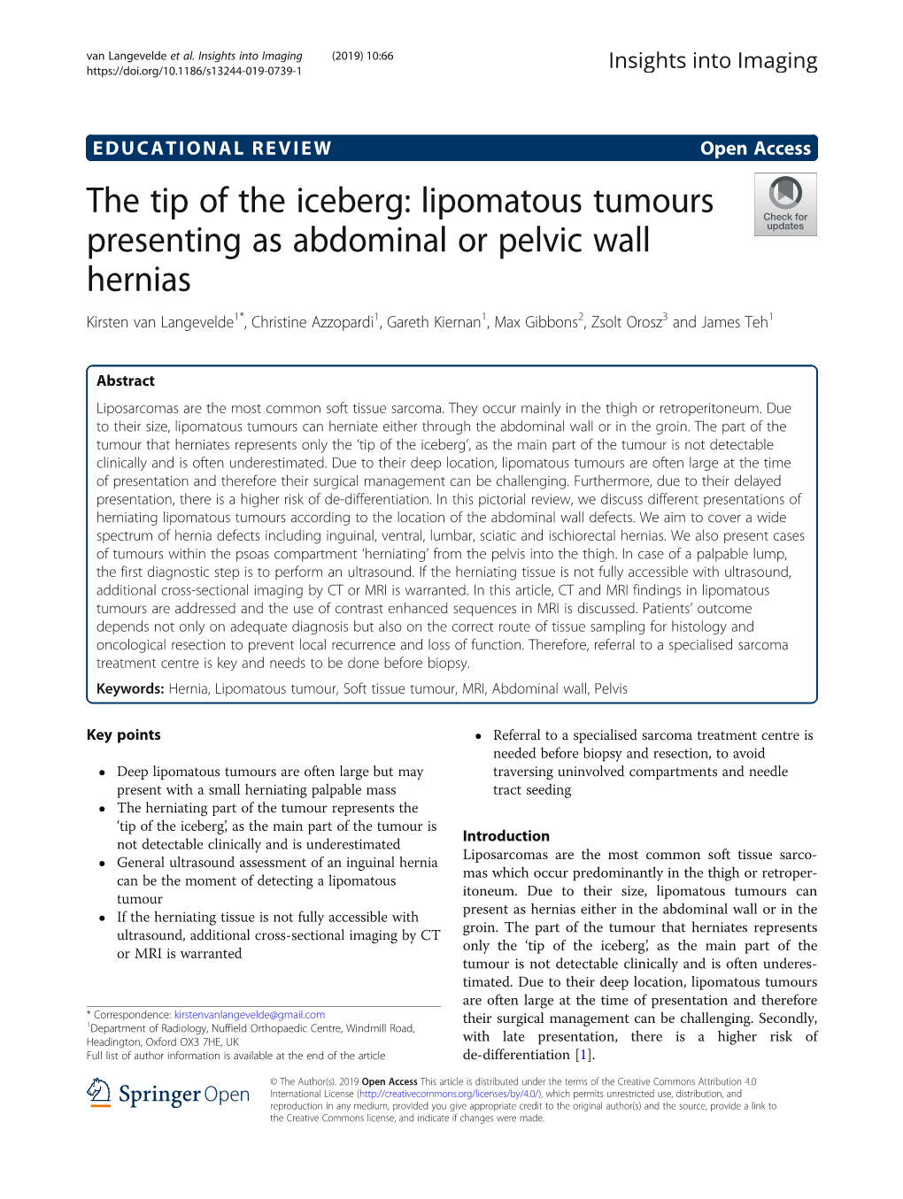 The Tip of the Iceberg: Lipomatous Tumours Presenting As Abdominal Or Pelvic Wall Hernias