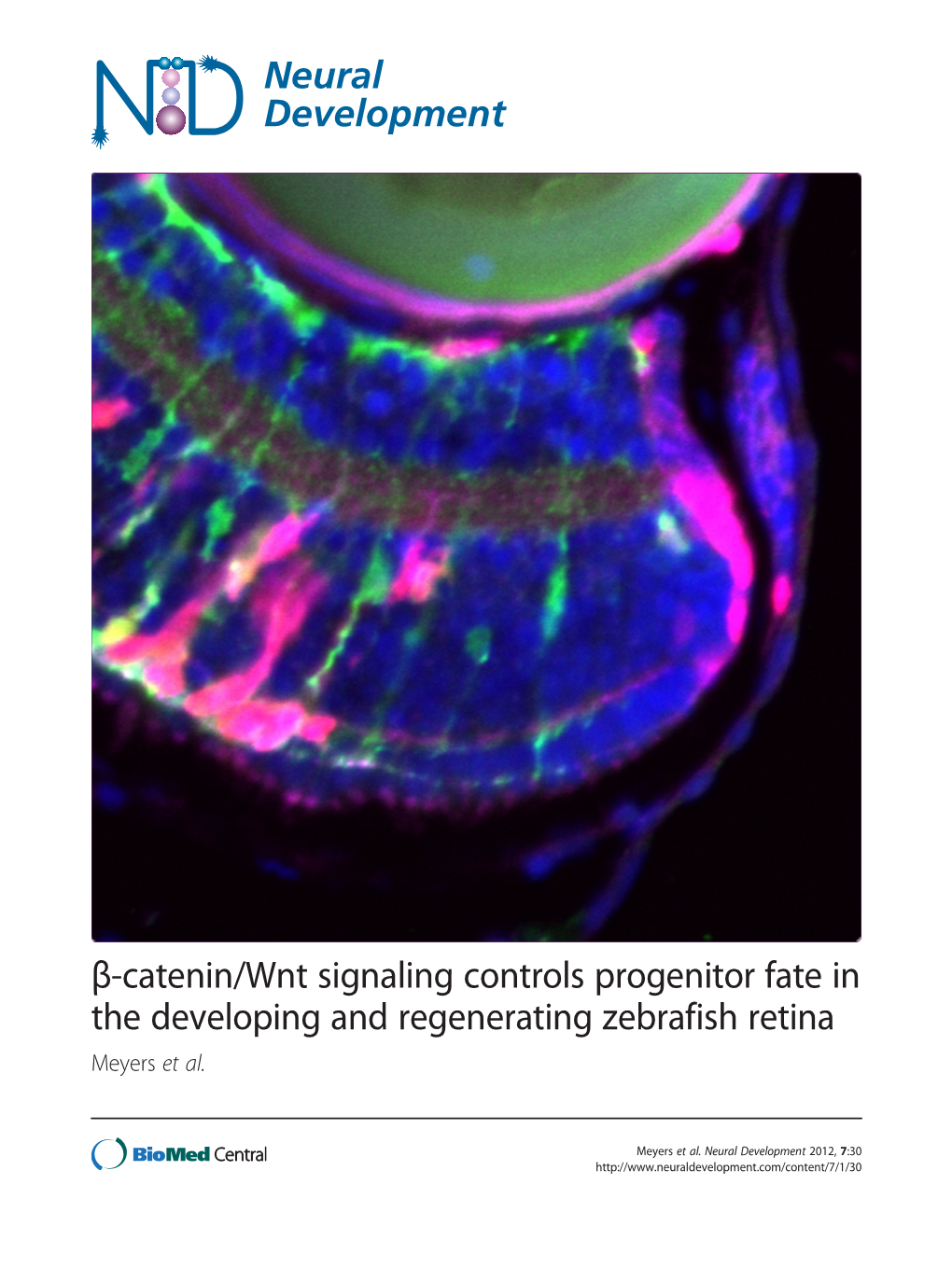 Β-Catenin/Wnt Signaling Controls Progenitor Fate in the Developing and Regenerating Zebrafish Retina Meyers Et Al