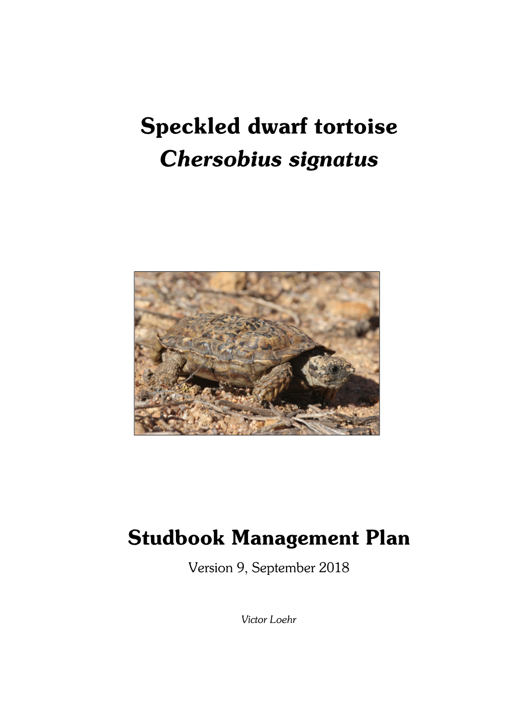 Studbook Management Plan Chersobius Signatus