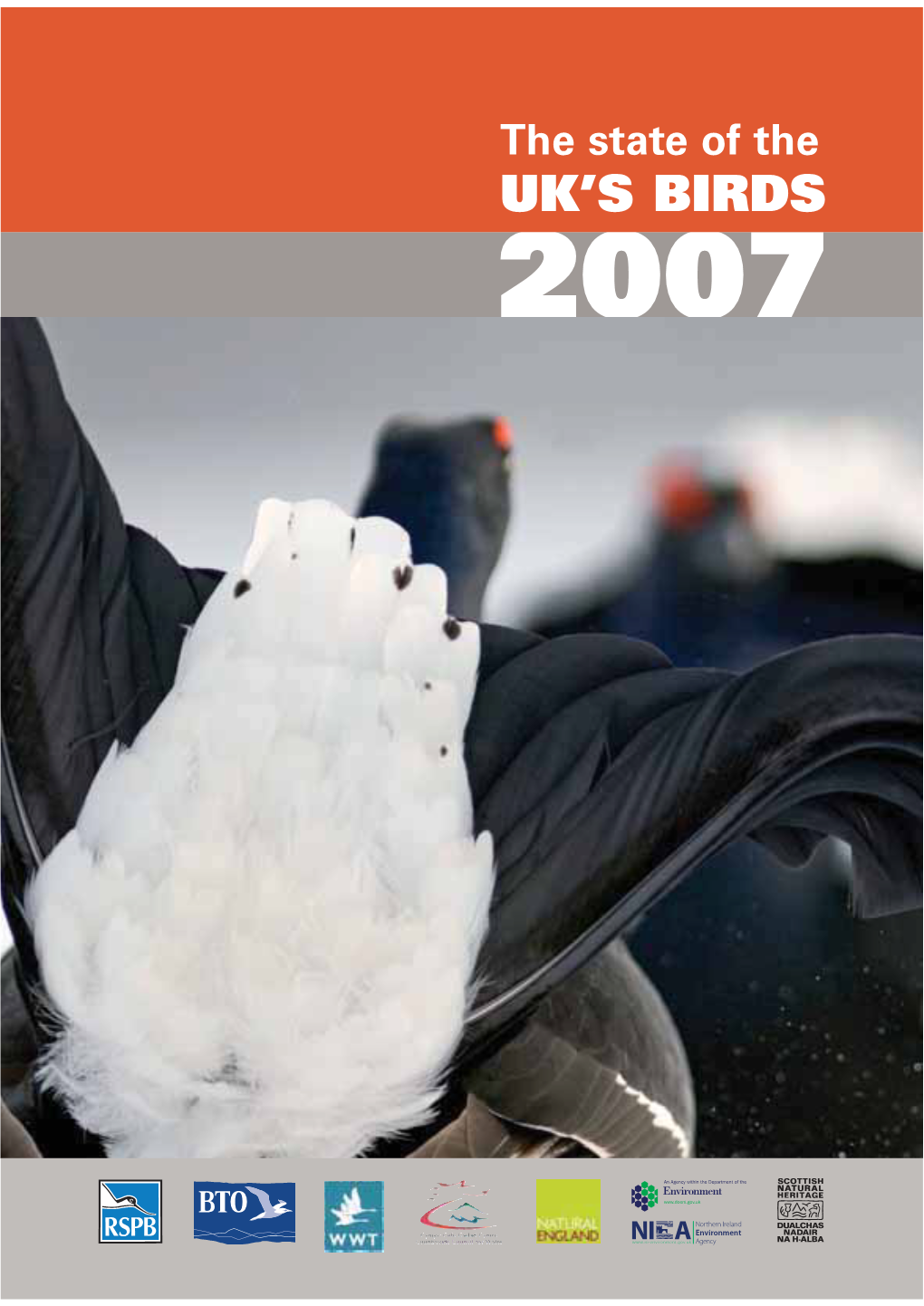 State of the UK's Birds 2007