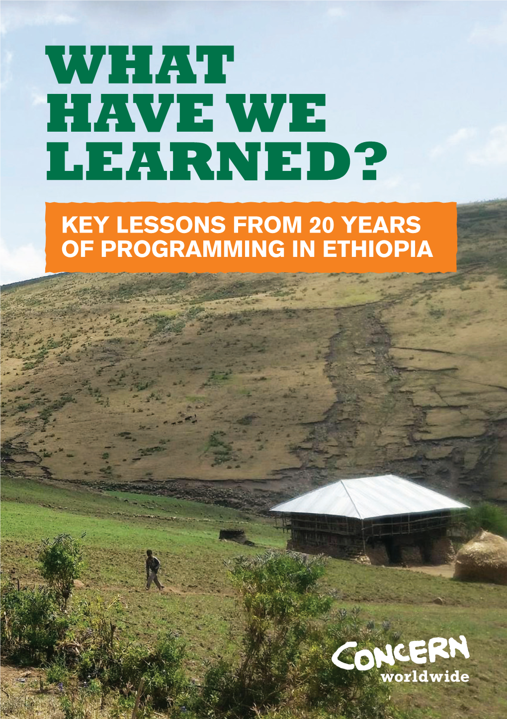 WHAT HAVE WE LEARNED? KEY LESSONS from 20 YEARS of PROGRAMMING in ETHIOPIA Acknowledgements