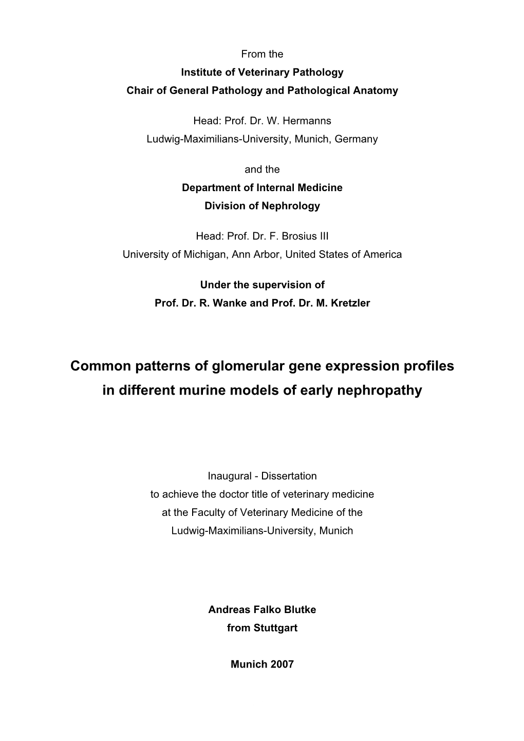 Common Patterns of Glomerular Gene Expression Profiles in Different Murine Models of Early Nephropathy