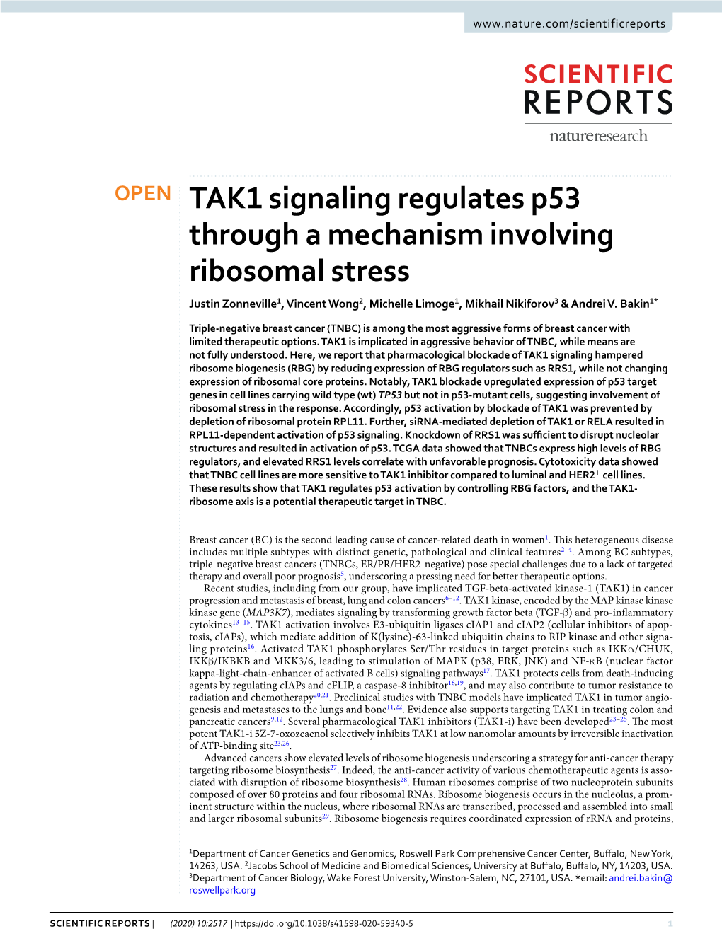 TAK1 Signaling Regulates P53 Through a Mechanism Involving Ribosomal Stress Justin Zonneville1, Vincent Wong2, Michelle Limoge1, Mikhail Nikiforov3 & Andrei V