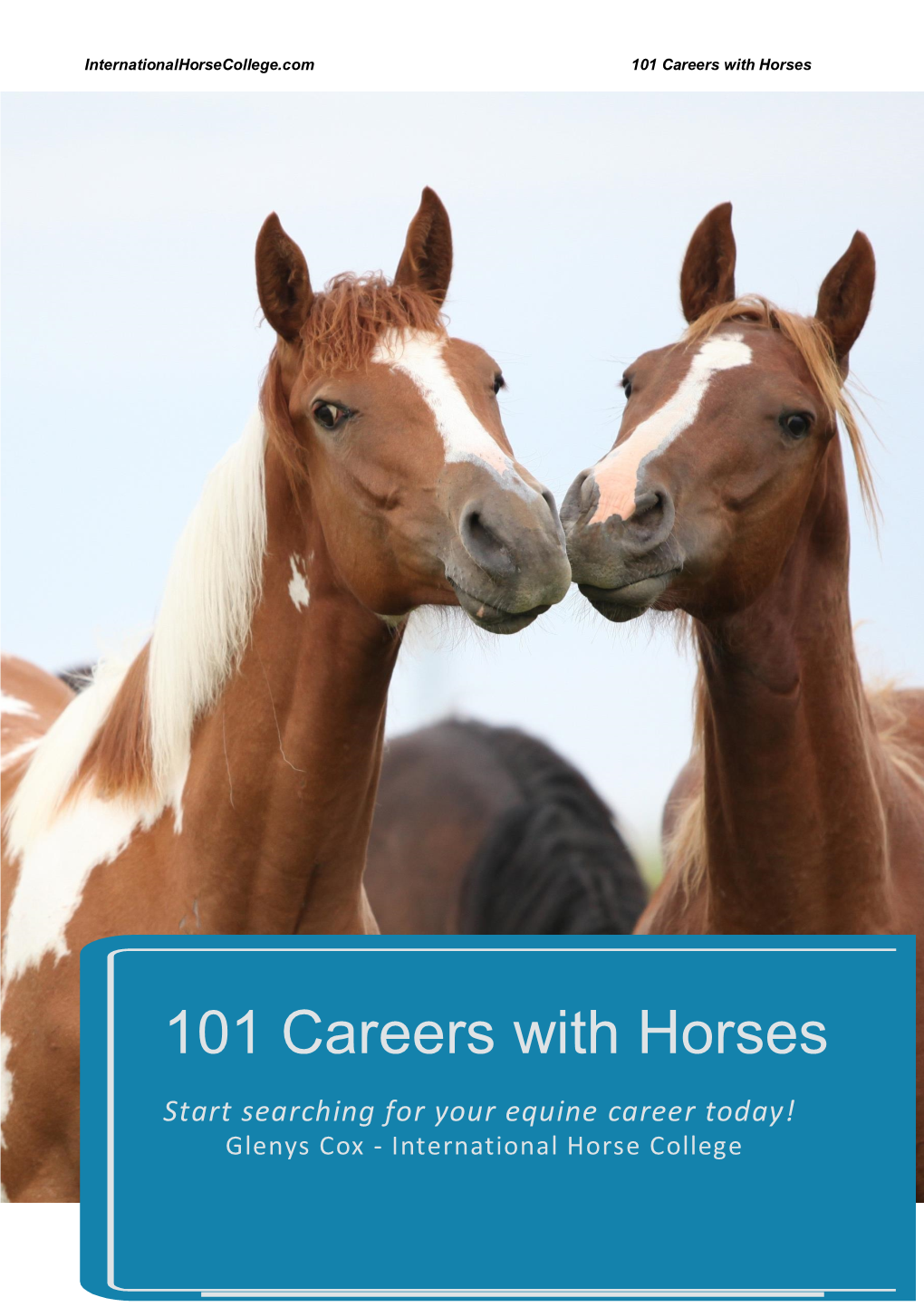 101 Careers with Horses