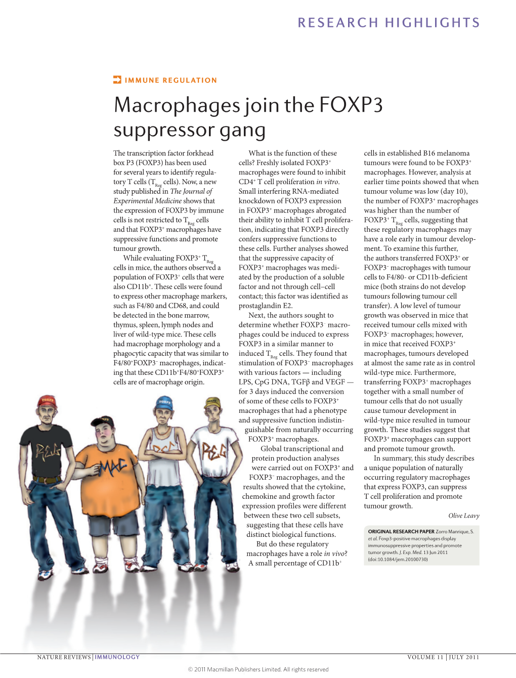 Macrophages Join the FOXP3 Suppressor Gang