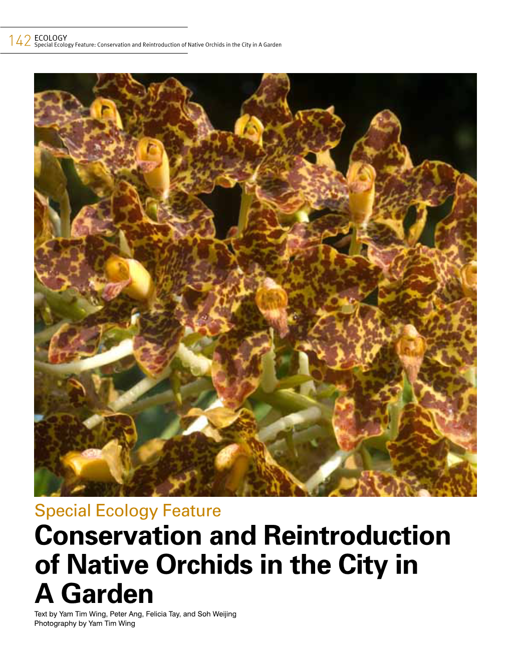 Conservation and Reintroduction of Native Orchids in the City in a Garden