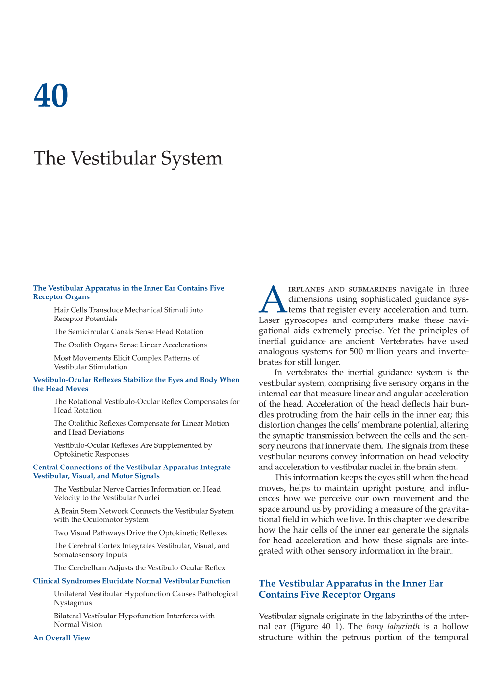 The Vestibular System