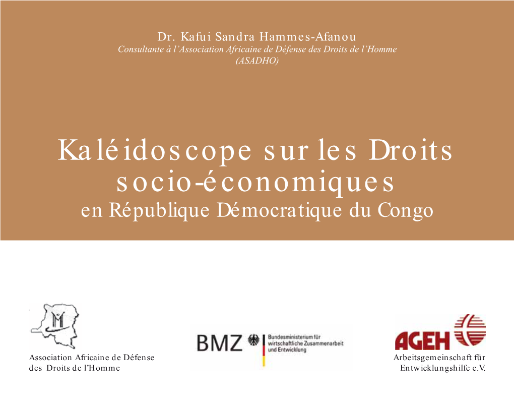 Kaléidoscope Sur Les Droits Socio-Économiques En République Démocratique Du Congo