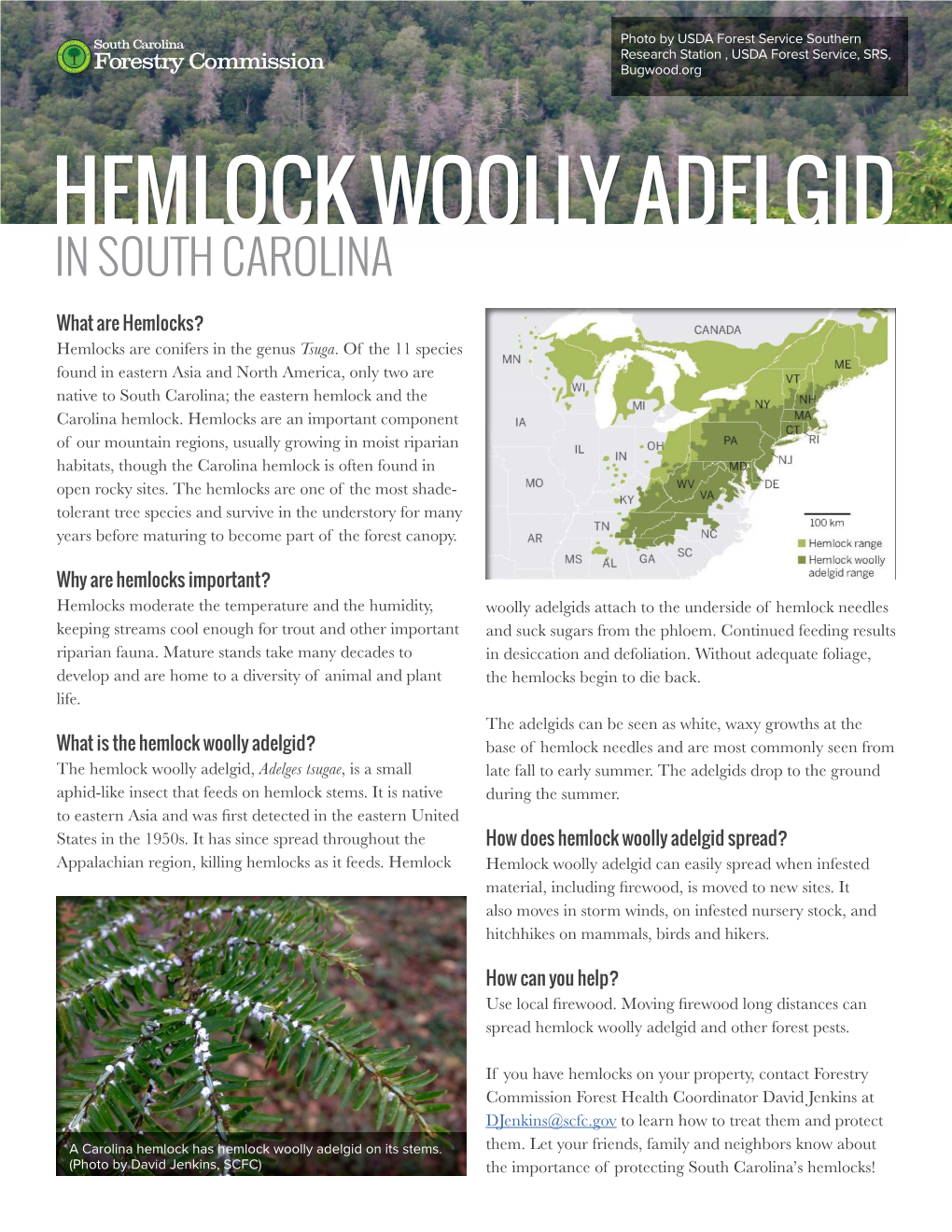 Hemlock Woolly Adelgid in South Carolina